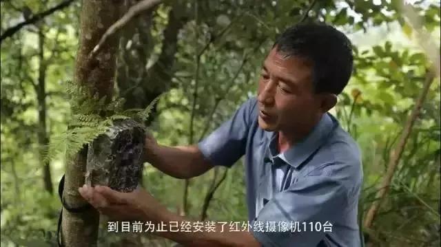 怎么宣传湖南南山国家公园,湖南南山国家公园有哪些景点