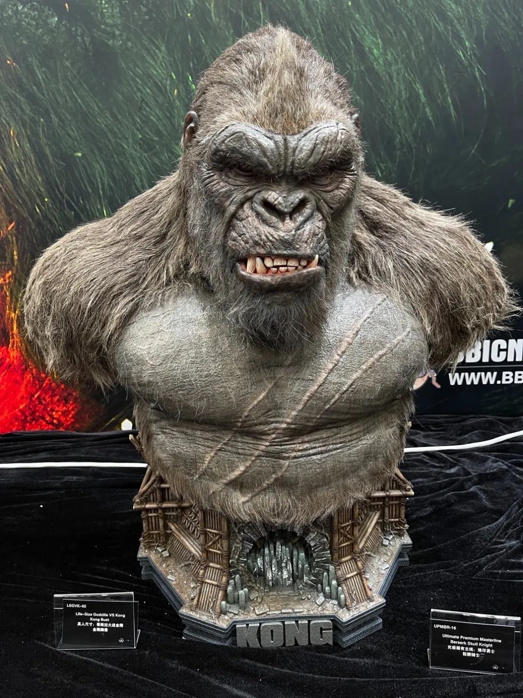 wf展回顾,下届wf展