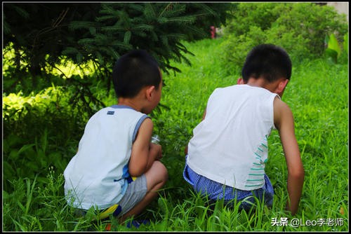 自己家的孩子被人动手打了怎么办,家长动手打了孩子怎么处理