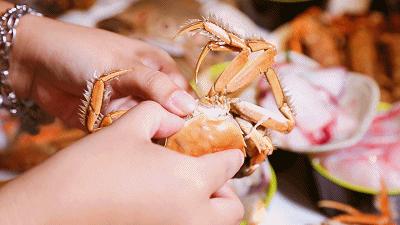 象拔蚌拼鹅肝三文鱼刺身拼盘,象拔蚌三文鱼鹅肝刺身拼盘