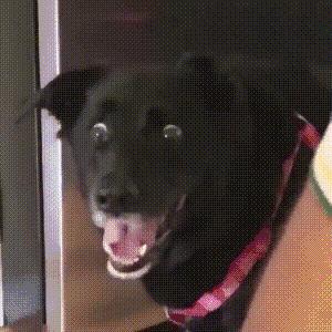 现在的网红美食有多离谱,那些坑人的网红美食