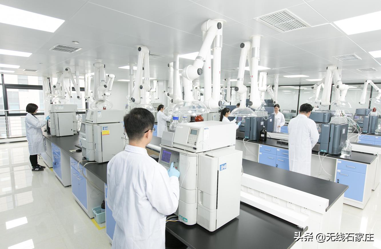 石药集团欧意药业有限公司玄宁,石药玄宁马来酸左旋氨氯地平片