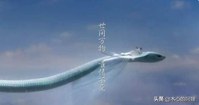 灵魂摆渡经典旁白录音,灵魂摆渡100个旁白合集