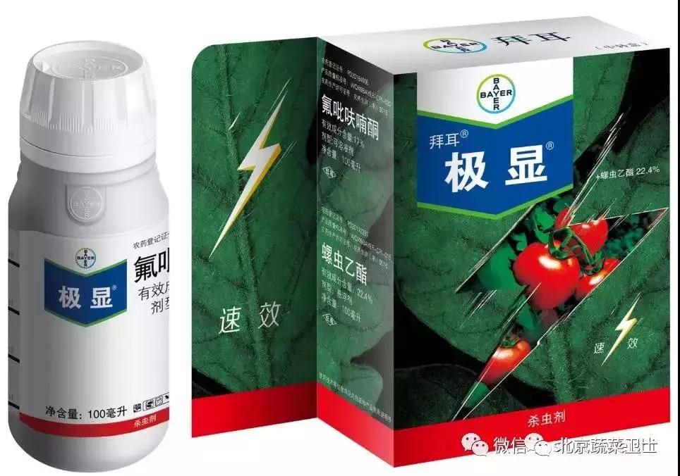 拜耳消杀白粉虱,拜耳治白粉虱特效药