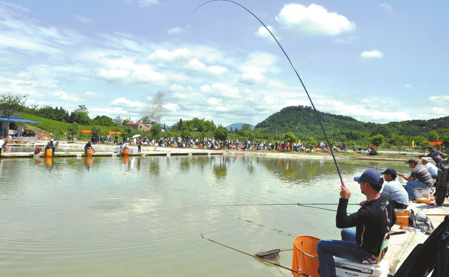 钓鱼用竿的技巧和方法,钓鱼新手入门短竿