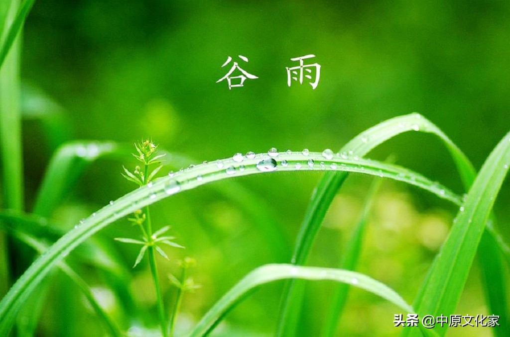 娓呮槑璋烽洦澶忚嚦灏忔弧,娓呮槑璋烽洦绔嬪灏忔弧