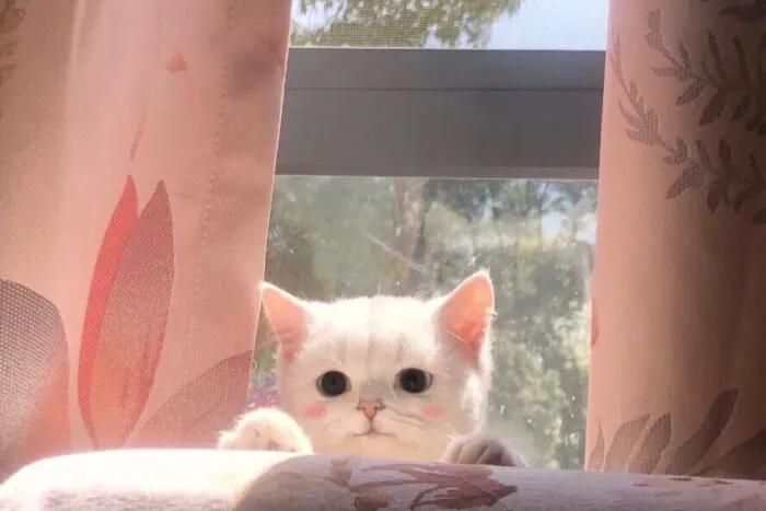 自媒体新手期如何快速挣钱,自媒体新手怎么快速入门赚钱