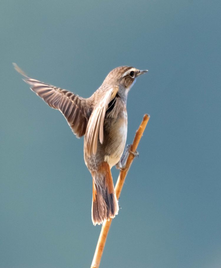 情人岛拍摄地点,情人岛航拍视频