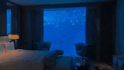 三亚的顶级酒店推荐,三亚顶级的酒店推荐