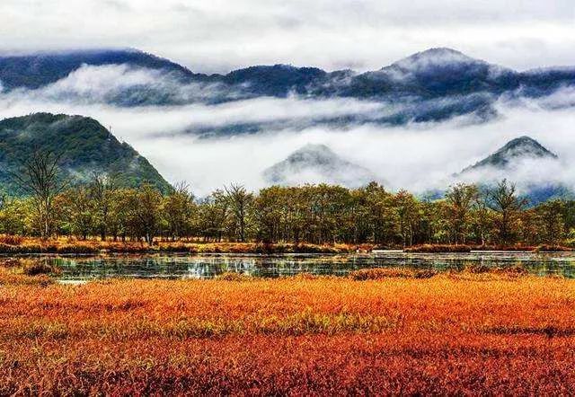 神农架旅游攻略最新,神农架秋天旅游攻略