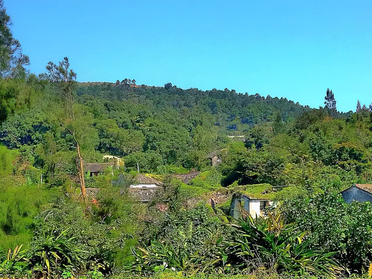 苍南千年古村旅游攻略,苍南十大最美村庄