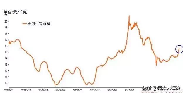 2019年猪价还会继续涨吗,2019年的猪价行情会怎样