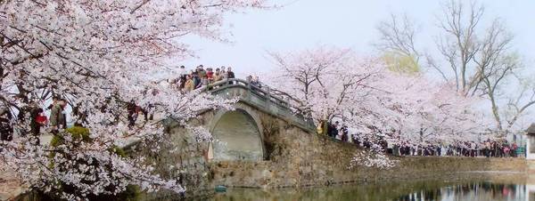 清明时节吃什么美食,清明时节江南地区要吃哪种美食