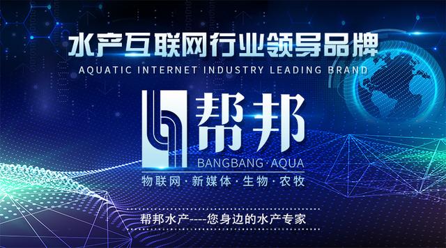 大闸蟹苗用什么喂养,大闸蟹苗饲养