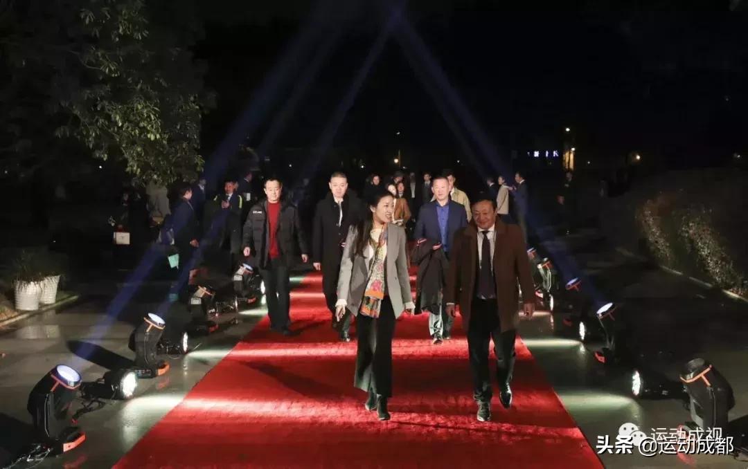 成都足球比赛2019,2018足球世界杯冠军战