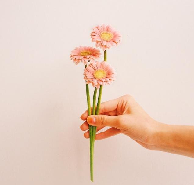 教师节祝词桃李满园,教师节桃李开满园