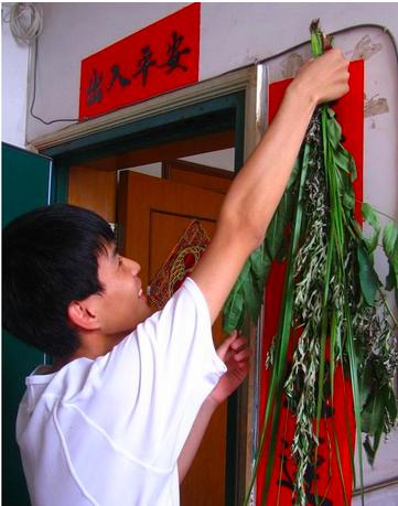 端午节为什么要挂艾草简短,端午节挂艾草是什么意思啊