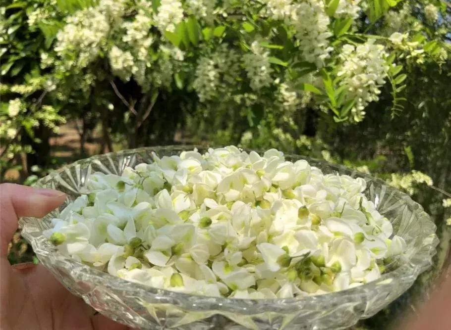 泰州溱湖一座人文湖景别墅，享受1800米湿地深处云海温泉丨欢墅