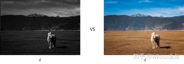 黑白照片变彩色是原来的颜色吗,为什么一点黑白照片就能变成彩色