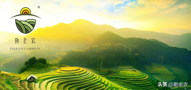 閽卞寘鎬庝箞鎵嶈兘鍐嶉紦璧锋潵,鎬庝箞璁╅挶鍖呭揩閫熼紦璧锋潵