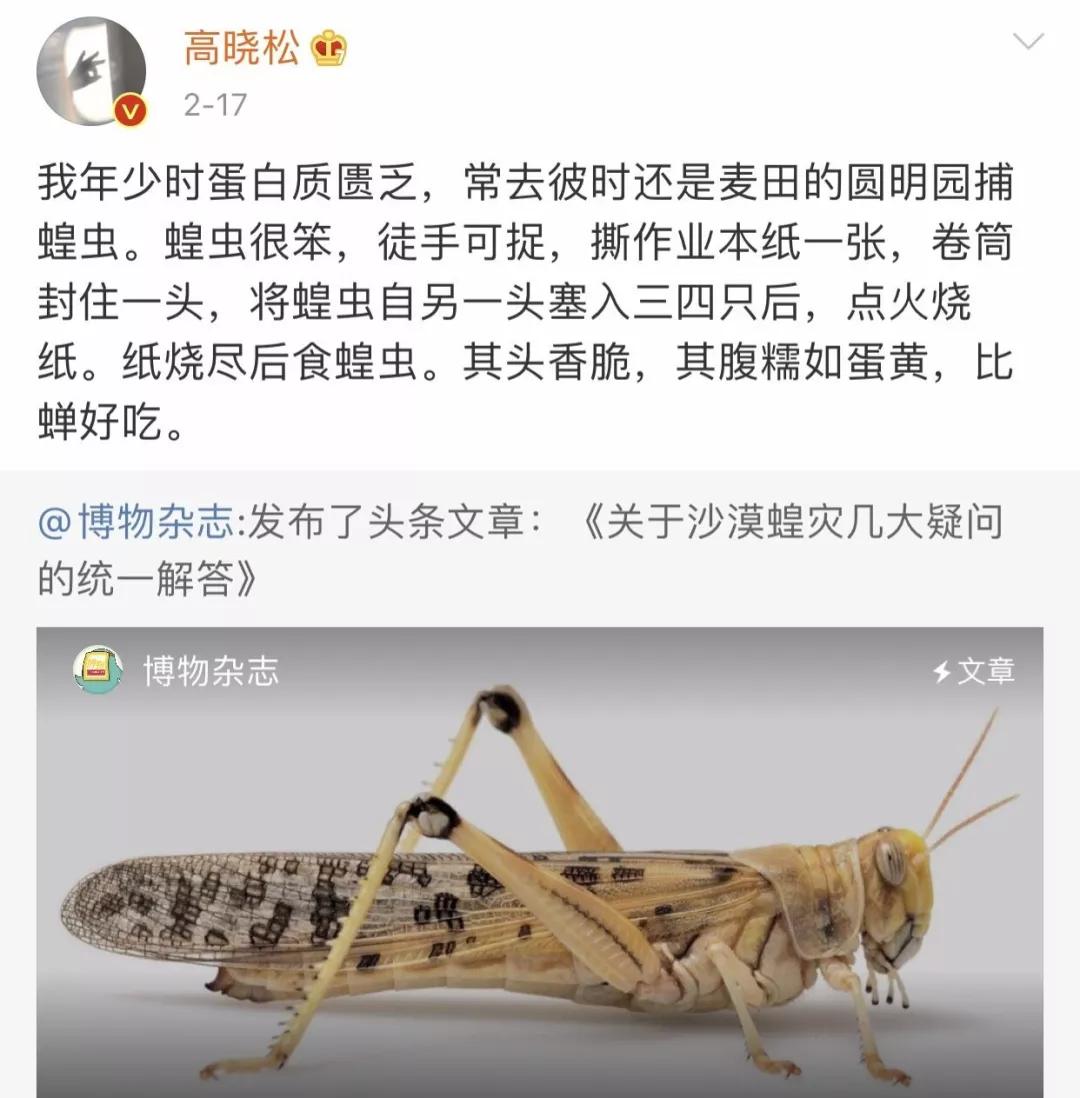 遇到蝗虫灾害怎么办,遇见虫子怎样保护自己