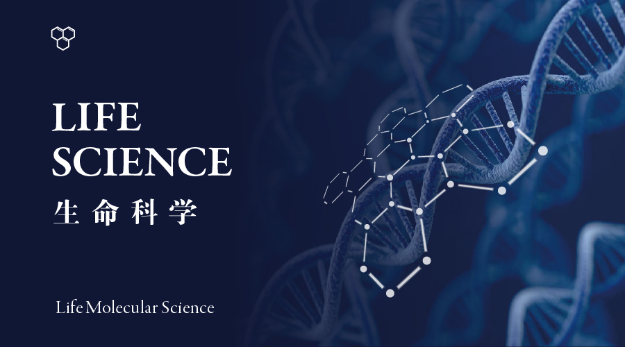 设计版面技巧和方法,版面设计八大核心规律你会了吗