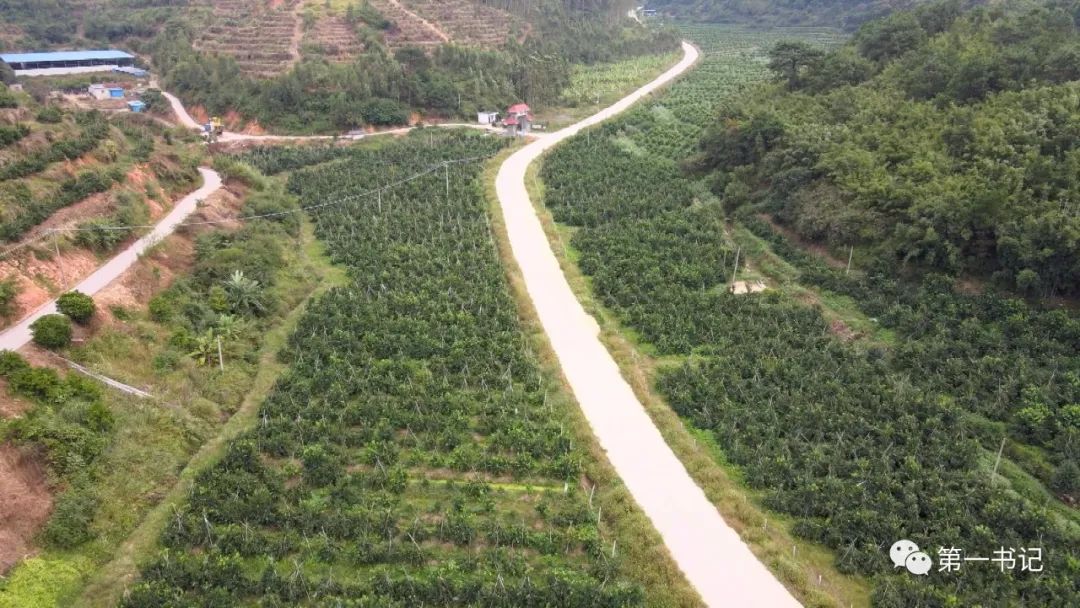 广西乡村振兴带动脱贫,乡村振兴宾阳