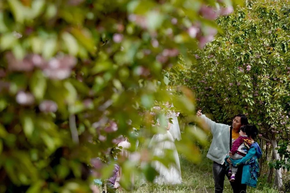 我为群众办实事怎样加强舆论宣传,我为群众办实事新媒体