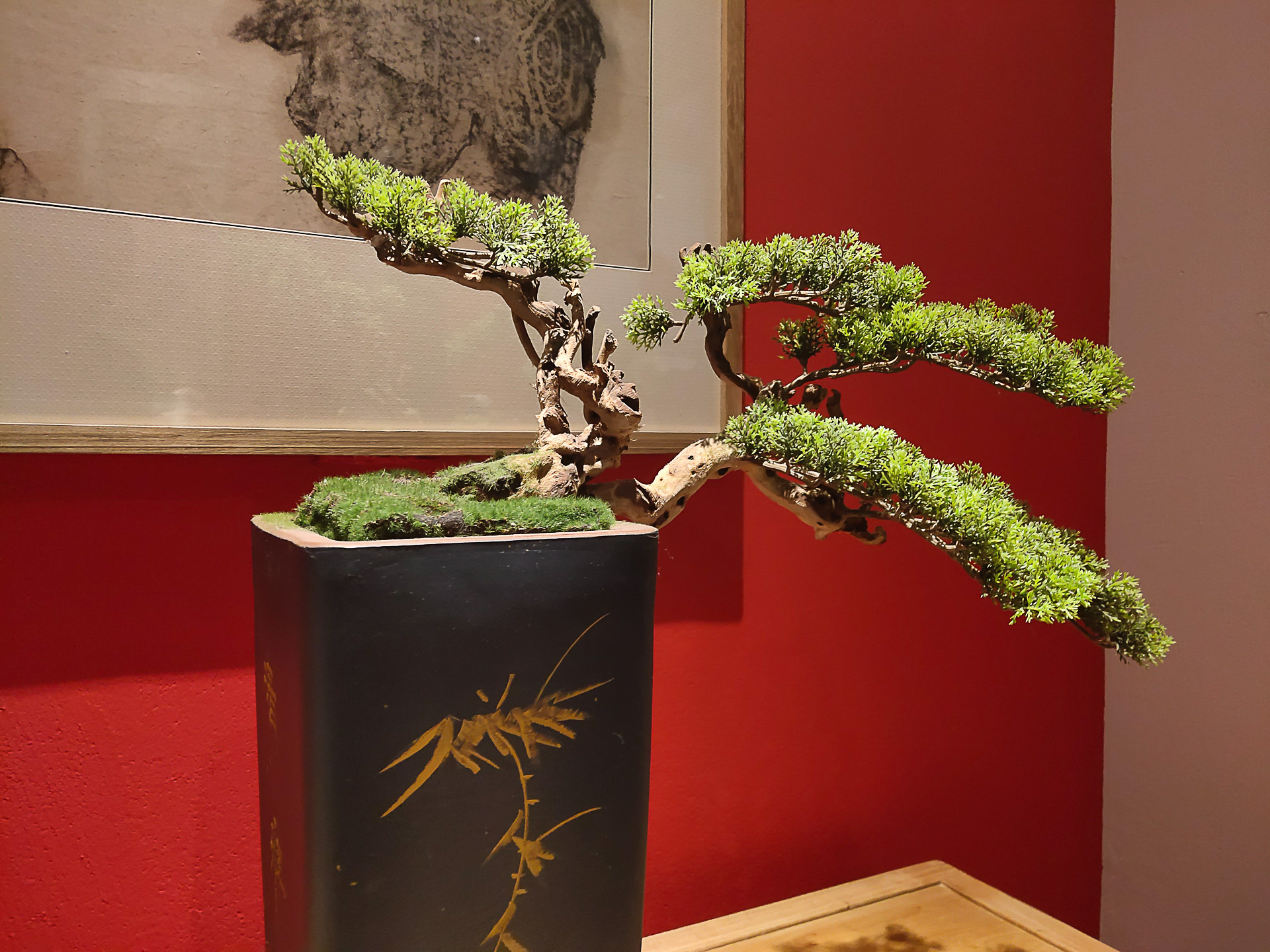 小白测评vivoiqoo深度体验,vivoiqoo系列综合性能怎么样