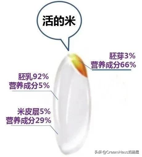 市面上的胚芽米有哪些,有必要买有机胚芽米吗