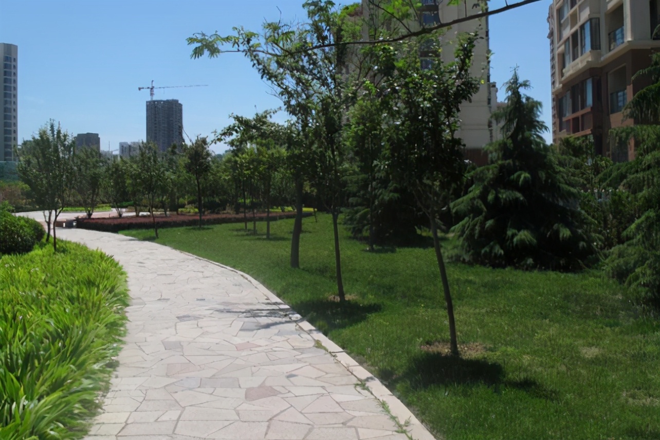 青岛烂尾楼盘点,青岛最大烂尾楼