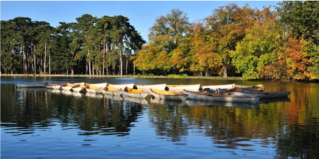 巴黎布洛涅森林公园的夜晚,巴黎布洛涅公园