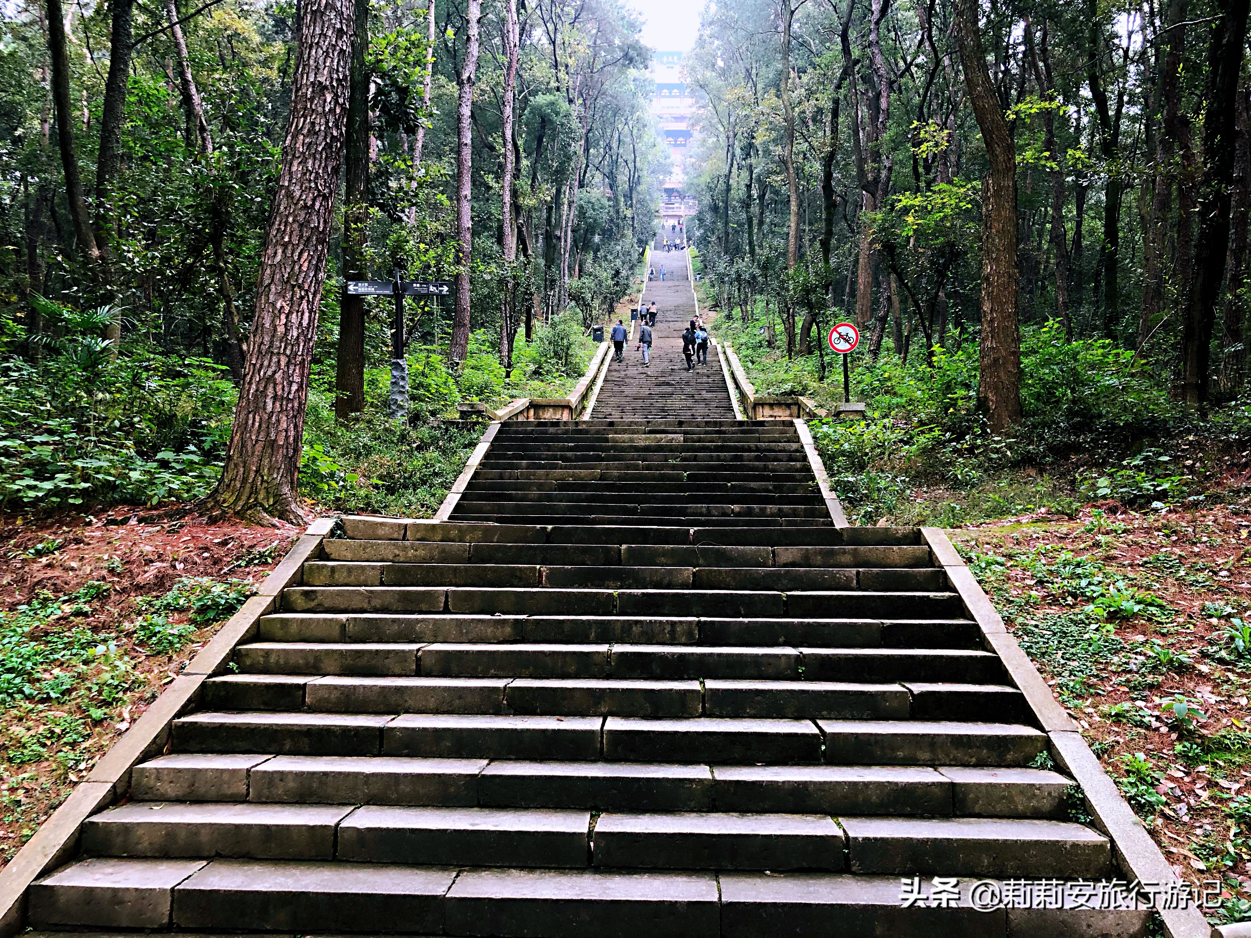 磨山楚国遗址,武汉东湖景观湖