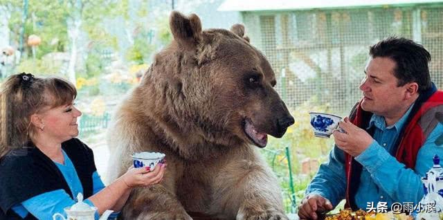 俄罗斯喝酒的下酒菜,俄罗斯人最爱喝的酒是什么