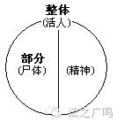 奇案真实案例分析,奇案真实案例解析