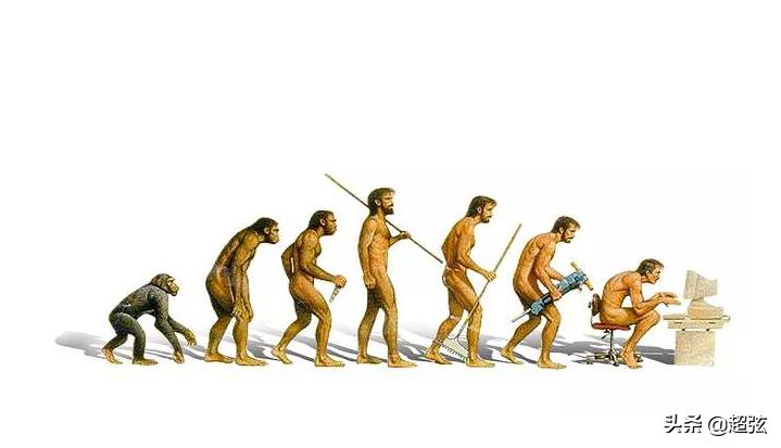 为什么害怕老鼠和蝙蝠,蝙蝠为什么不能灭老鼠