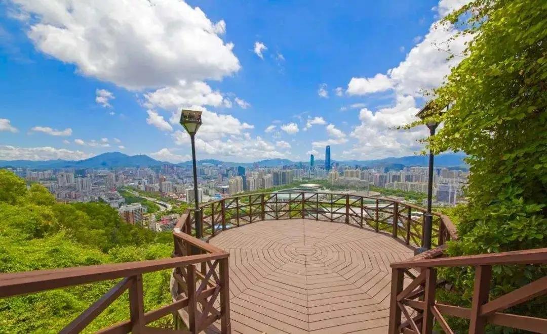 深圳遛娃必去景点免费过年,深圳适合儿童游玩的公园