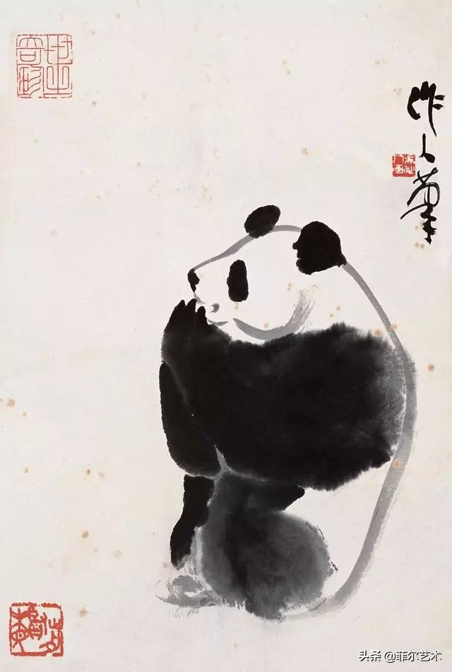 吴作人画速写熊猫,熊猫国画吴作人图文