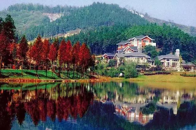 绿城桃花源里庭院探秘,绿城第10座桃花源