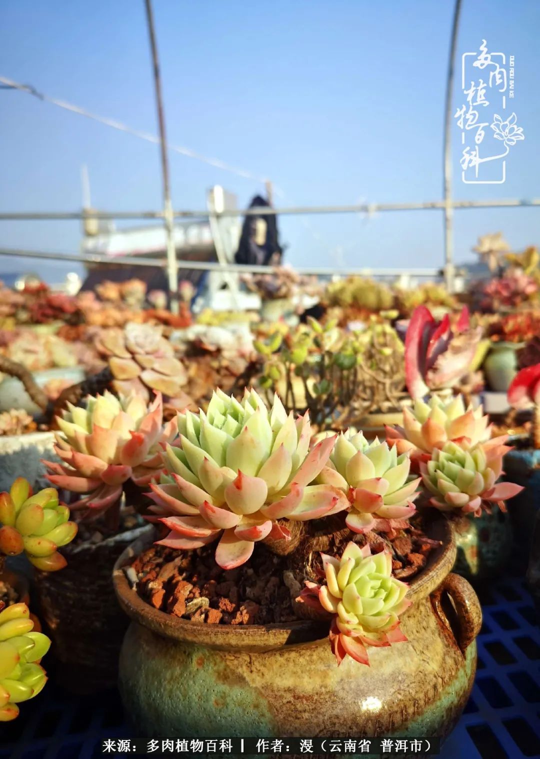 风过留痕讲的啥,风过留痕朗诵