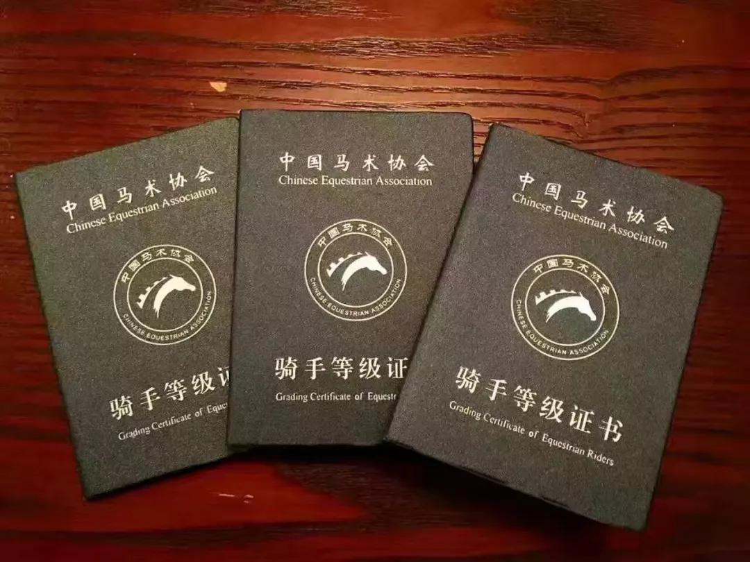 徐州英骐国际马术,徐州英琪国际马术中心