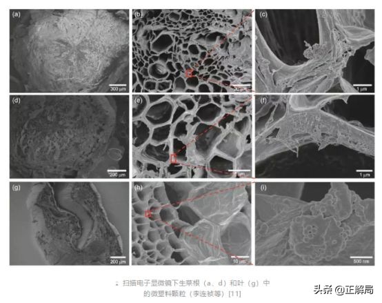 塑料餐盒污染,外卖餐盒造成巨大污染