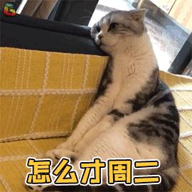 猫咪不停地甩头是什么含义,猫咪不停的甩头打喷嚏怎么办