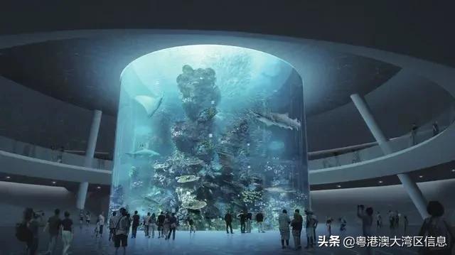 深圳海岸度假区,深圳最美海滨度假区排名