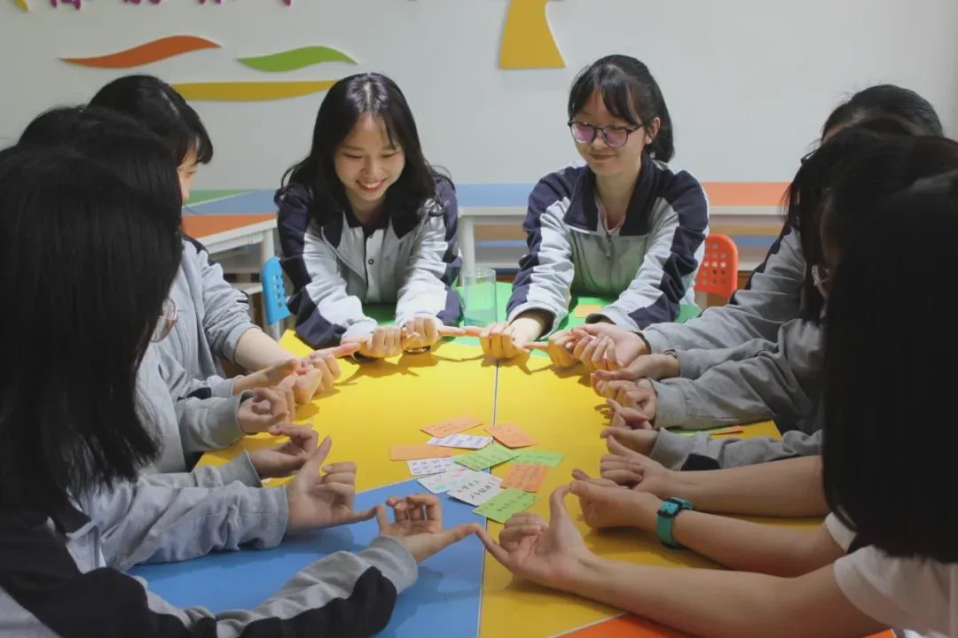 2024棠湖中学招生计划,2022小升初棠外计划招生人数