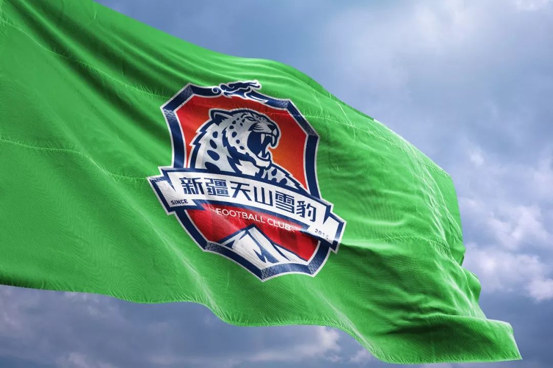 新疆天山雪豹队logo,天山雪豹足球俱乐部中甲