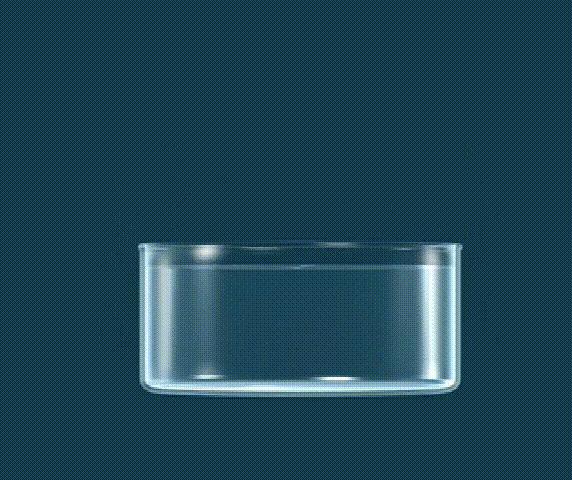 自制60天自动浇花器好看又美观,怎么用医用输液管自制浇花器