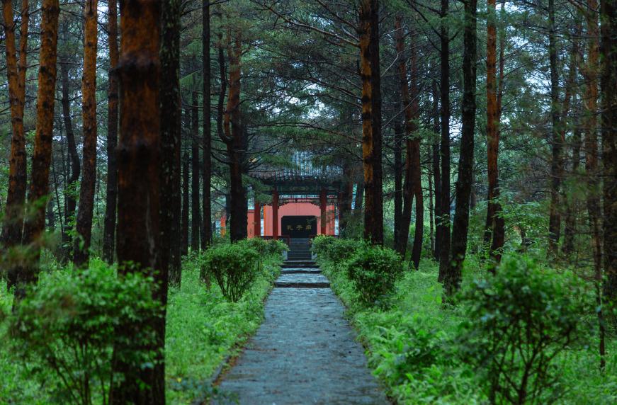 孔子是怎样炼成的圣人的成长心得,简单论述孔子成为圣人的原因