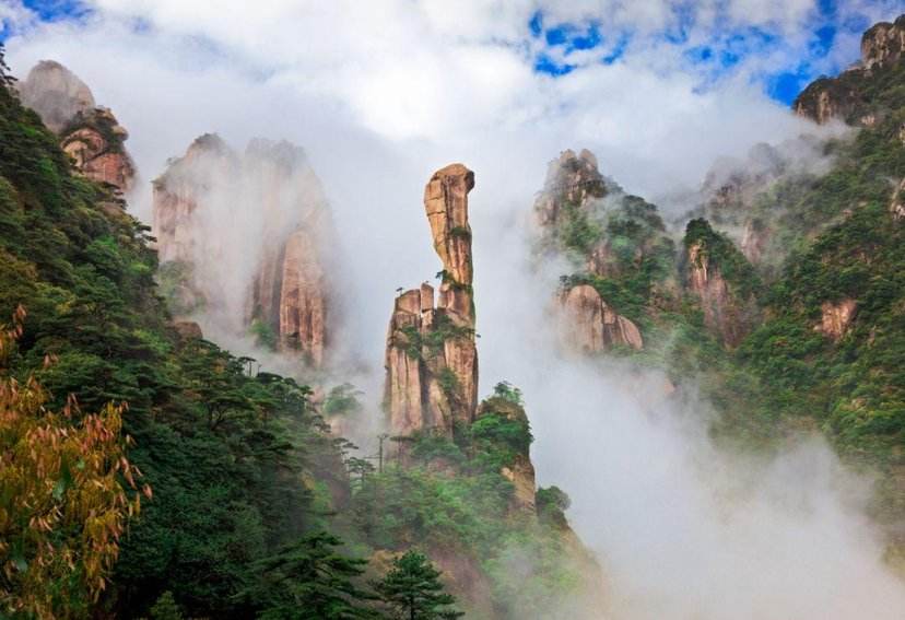 历史四大知识,中国的四大知识