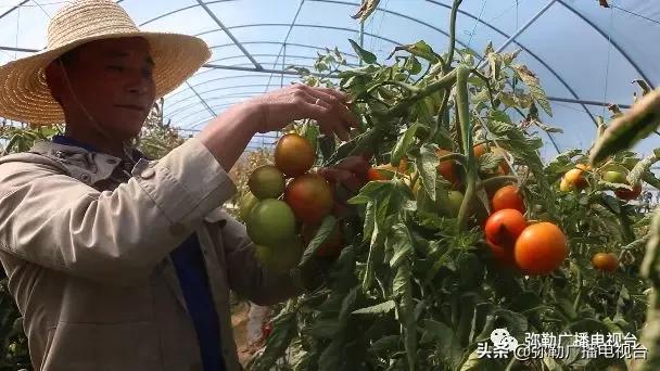 弥勒这一家子，穷！穷！富！富